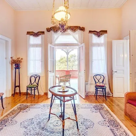Mansion Elina-parakopi-syros Villa *
